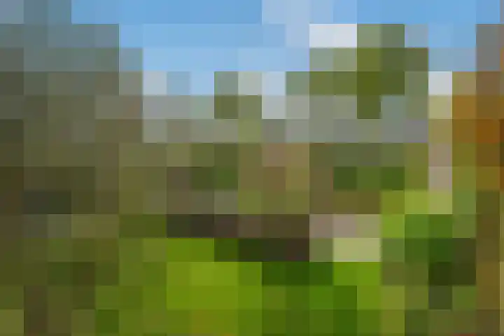 Druivenmuur 37 Delft thumbnail 22