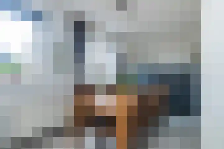 Druivenserre 2 De Lier thumbnail 10