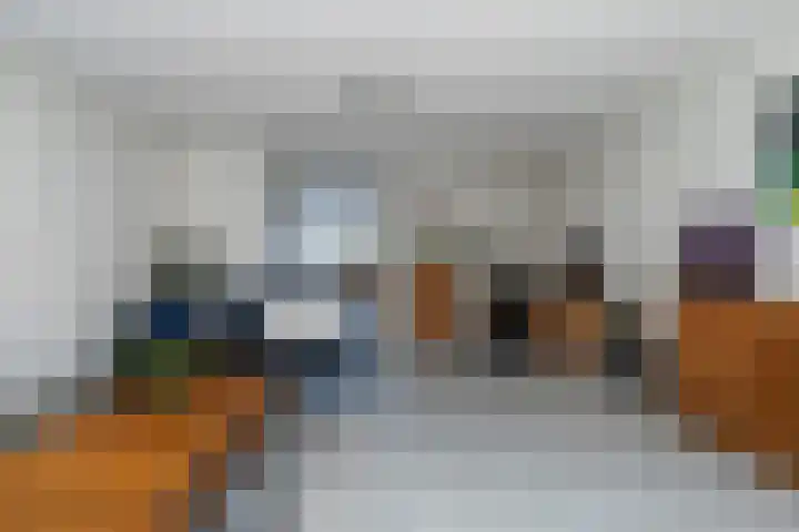 Druivenserre 2 De Lier thumbnail 13