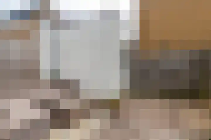 Druivenserre 2 De Lier thumbnail 17