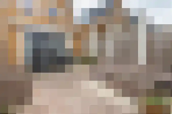 Druivenserre 2 De Lier thumbnail 18
