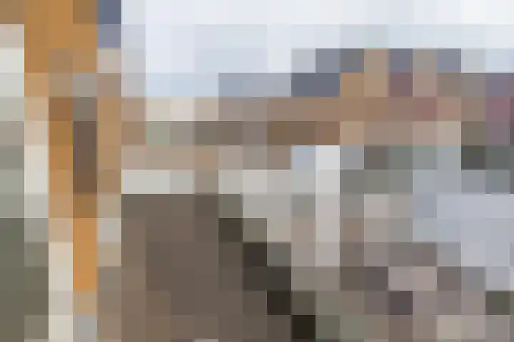 Druivenserre 2 De Lier thumbnail 20
