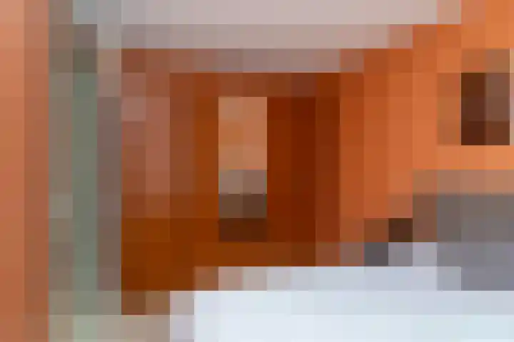 Druivenserre 2 De Lier thumbnail 21
