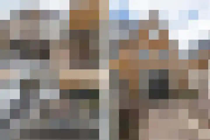 Druivenserre 2 De Lier thumbnail 4