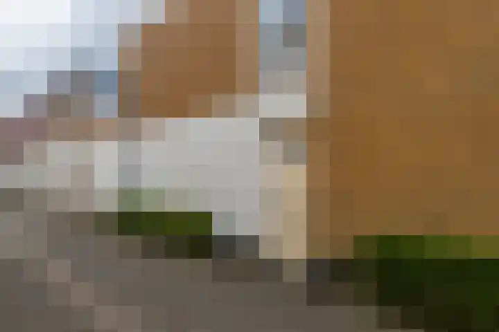 Druivenserre 2 De Lier thumbnail 5