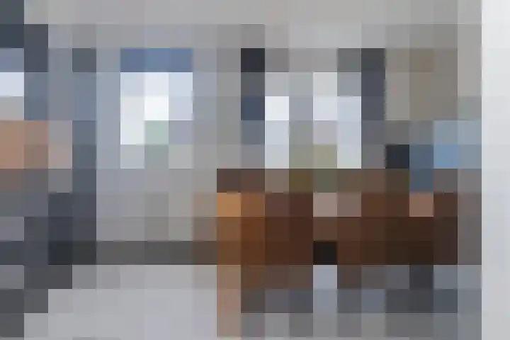 Druivenserre 2 De Lier thumbnail 9