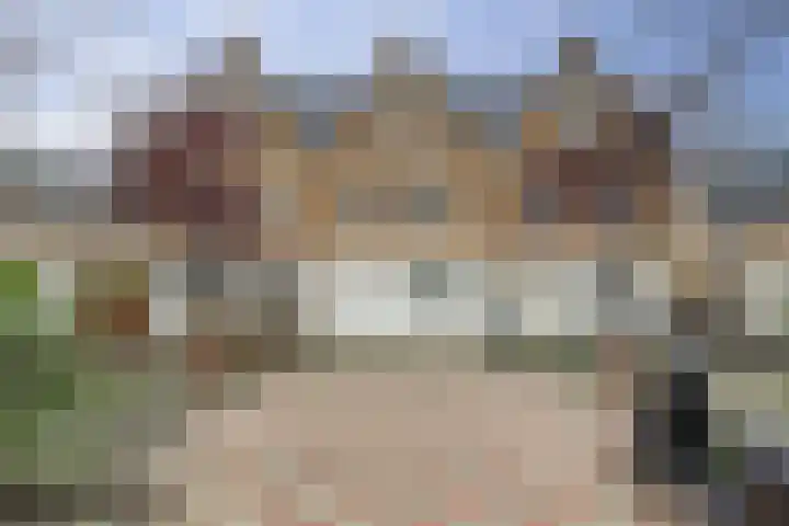 Druivenserre 6 De Lier