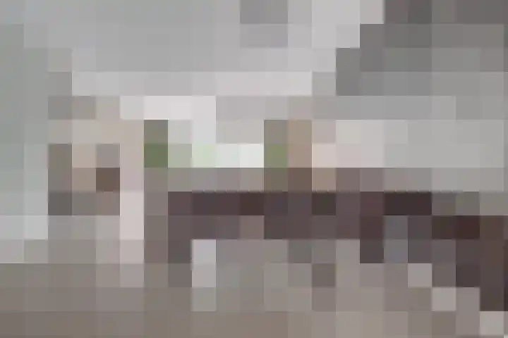 Druivenserre 6 De Lier thumbnail 10