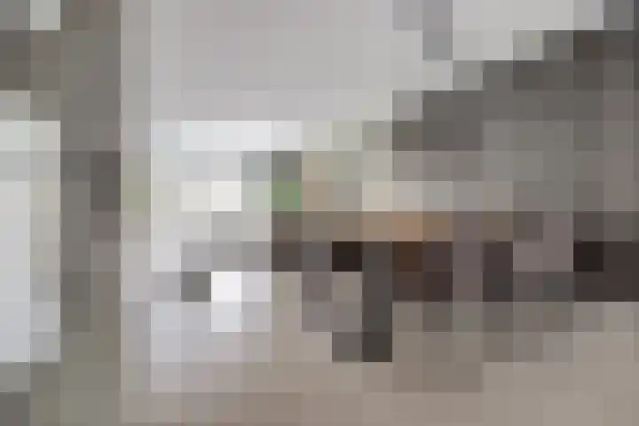 Druivenserre 6 De Lier thumbnail 11