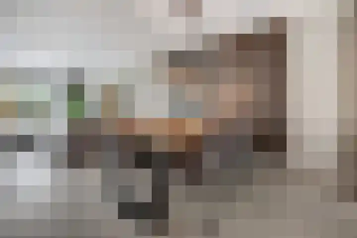 Druivenserre 6 De Lier thumbnail 12
