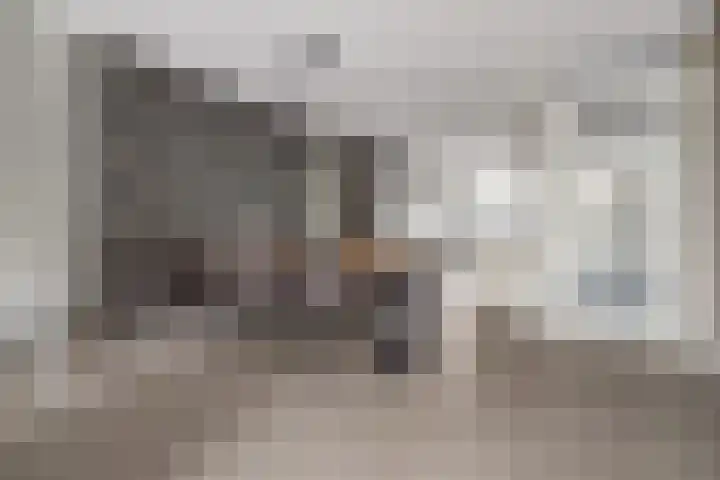 Druivenserre 6 De Lier thumbnail 13