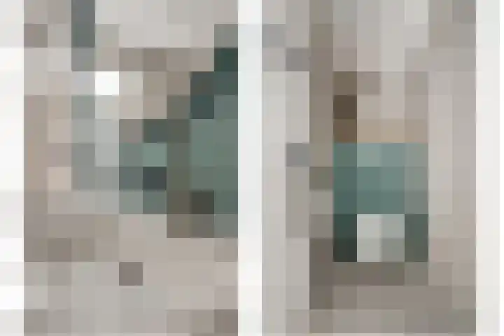 Druivenserre 6 De Lier thumbnail 21