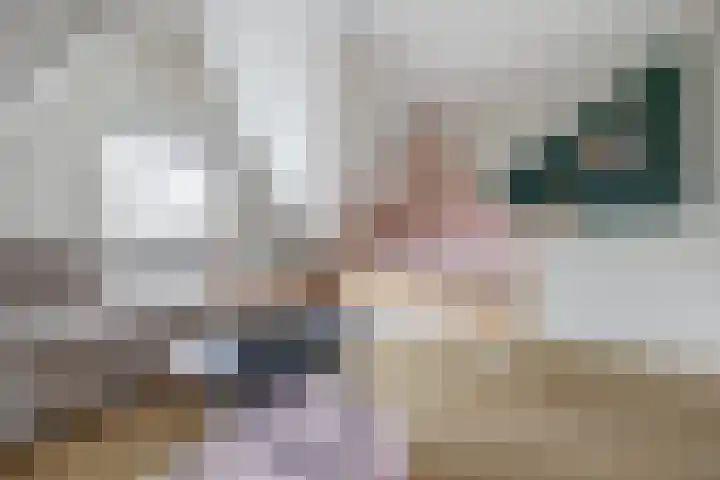 Druivenserre 6 De Lier thumbnail 31