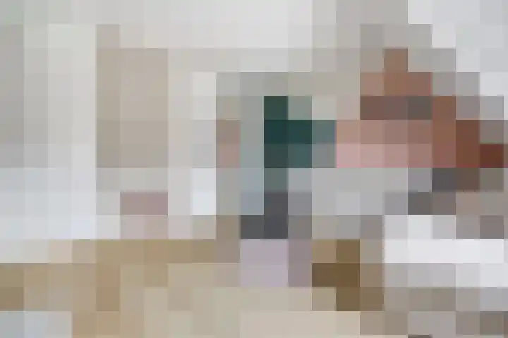 Druivenserre 6 De Lier thumbnail 32