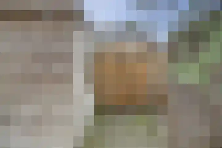 Druivenserre 6 De Lier thumbnail 35