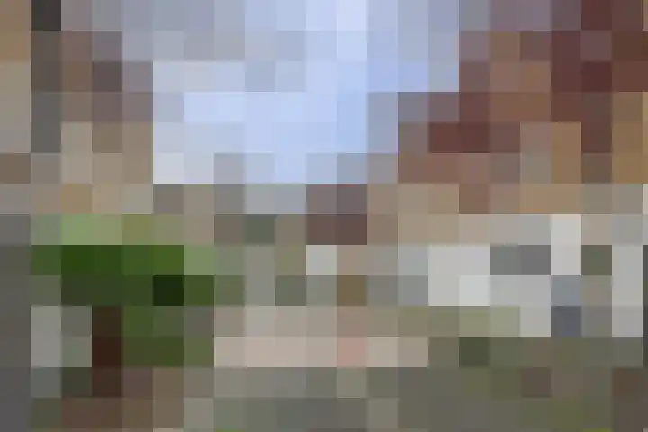 Druivenserre 6 De Lier thumbnail 36