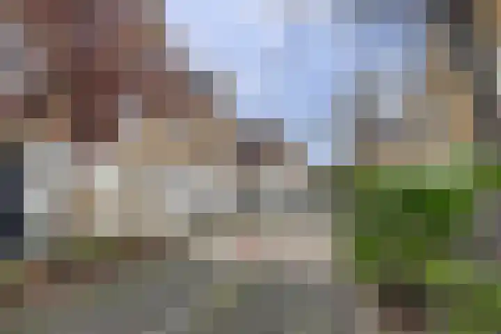 Druivenserre 6 De Lier thumbnail 37