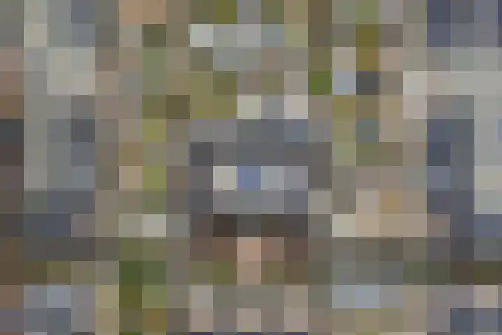 Druivenserre 6 De Lier thumbnail 38