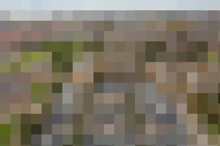 Druivenserre 6 De Lier thumbnail 39