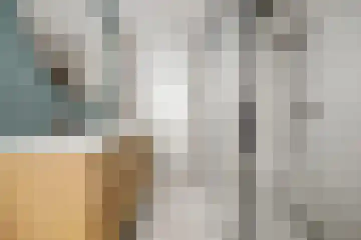 Druivenserre 6 De Lier thumbnail 4