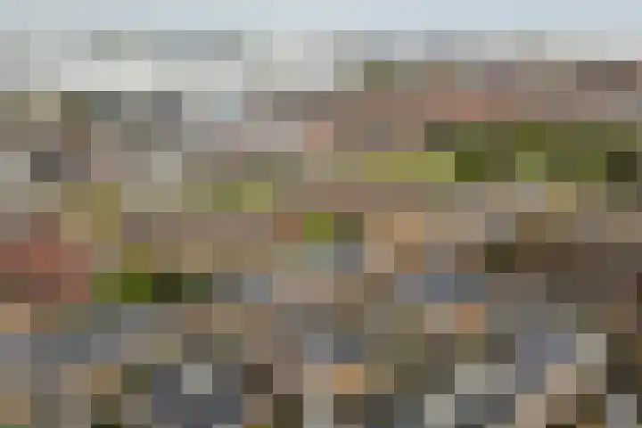 Druivenserre 6 De Lier thumbnail 40