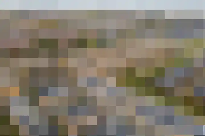 Druivenserre 6 De Lier thumbnail 41