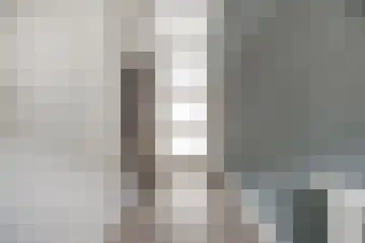 Druivenserre 6 De Lier thumbnail 6
