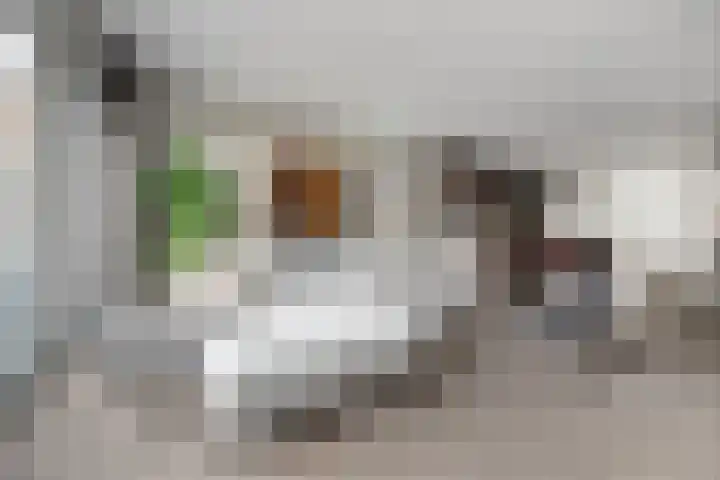Druivenserre 6 De Lier thumbnail 8