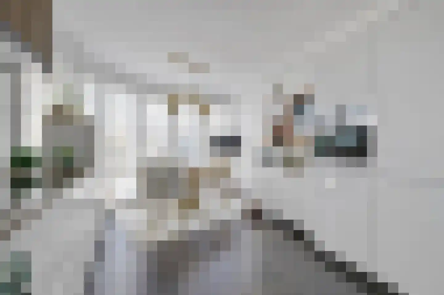 Druivenstraat 1 Almere thumbnail 18