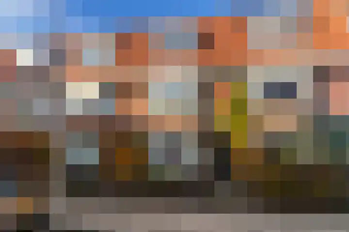 Druivenstraat 13 in Den Haag