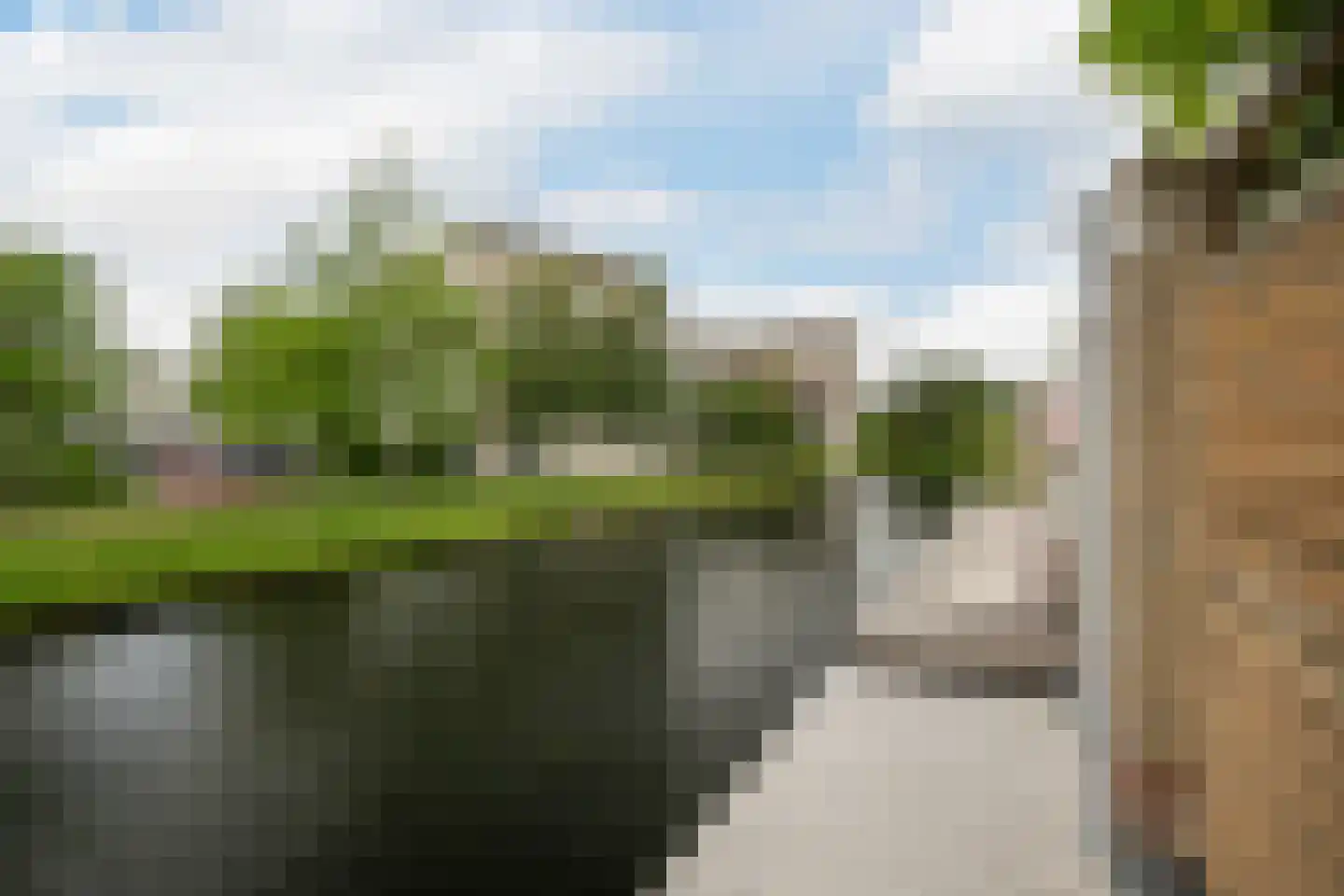 Druivenstraat 165 Naaldwijk thumbnail 4