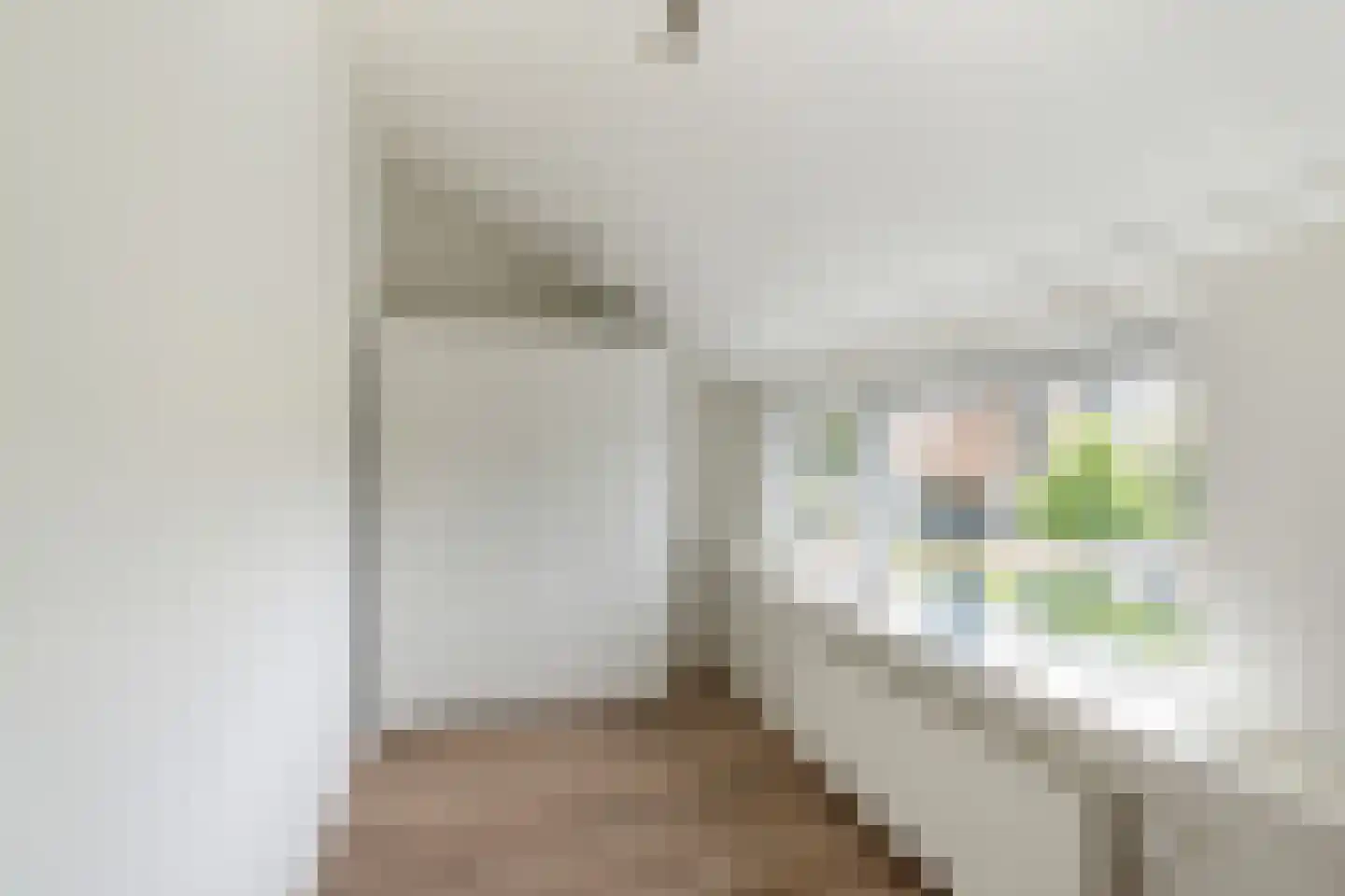 Druivenstraat 165 Naaldwijk thumbnail 41