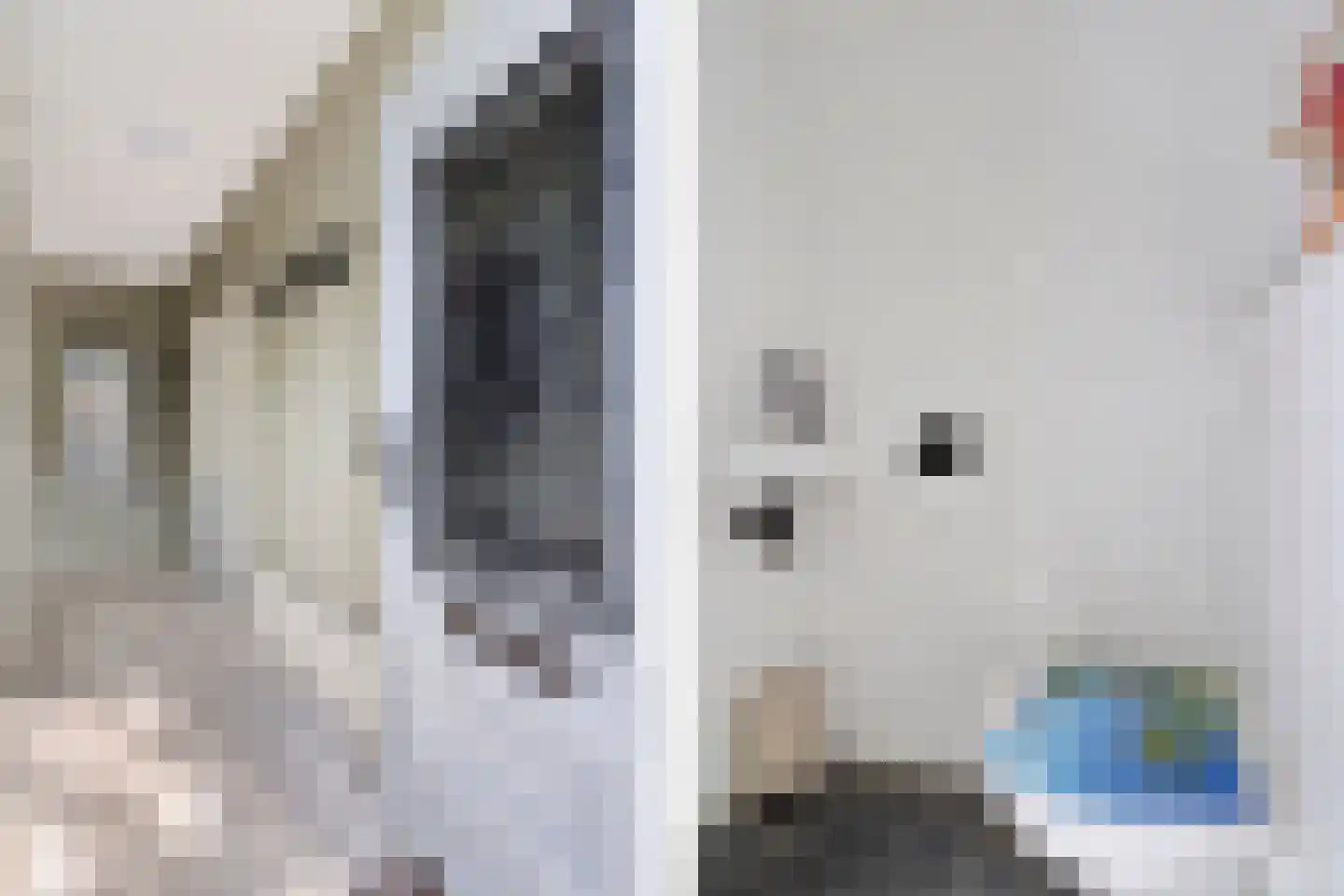 Druivenstraat 2 Naaldwijk thumbnail 10