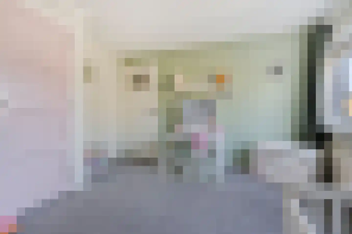 Druivenstraat 2 Naaldwijk thumbnail 13