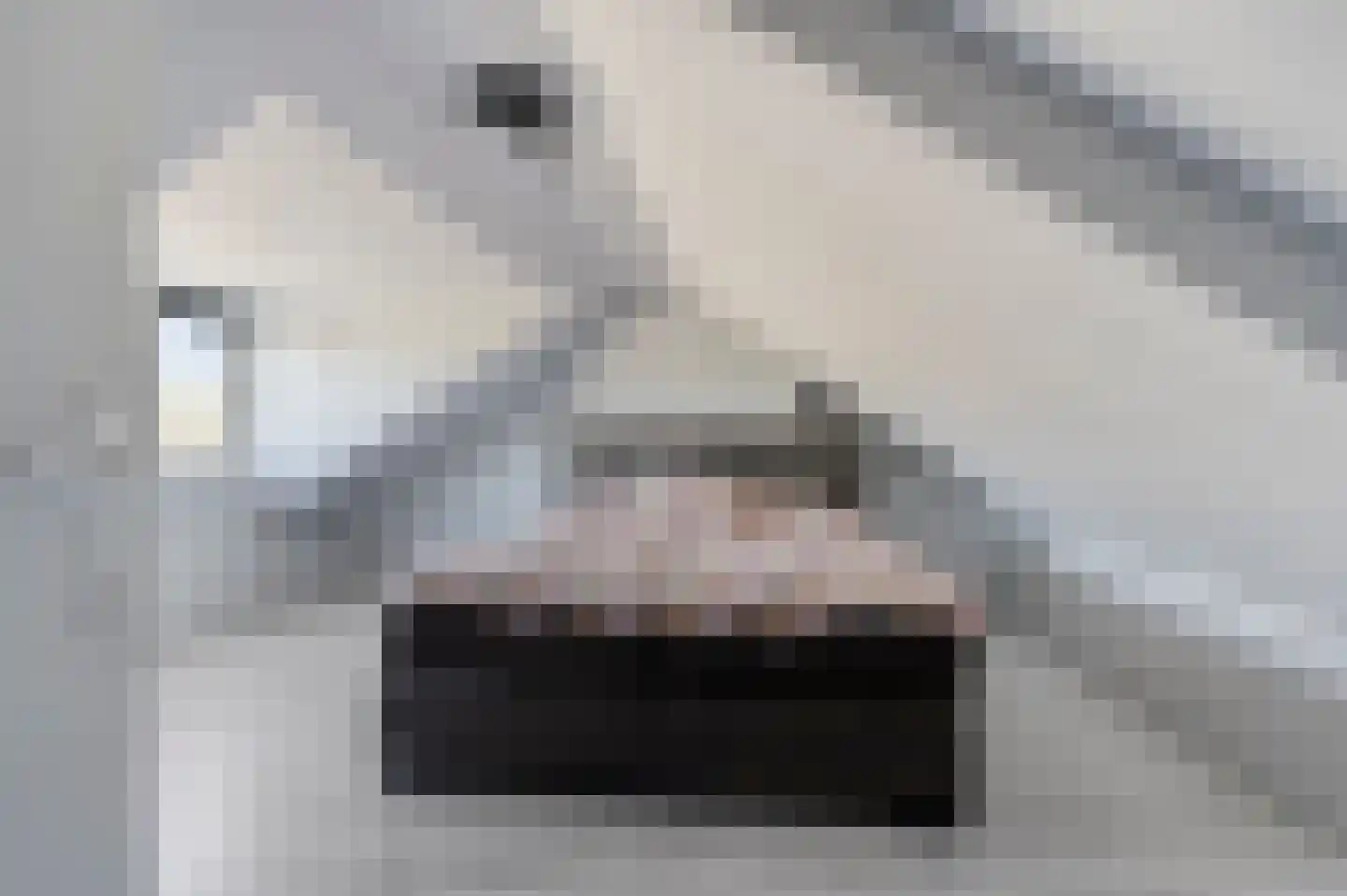 Druivenstraat 2 Naaldwijk thumbnail 17