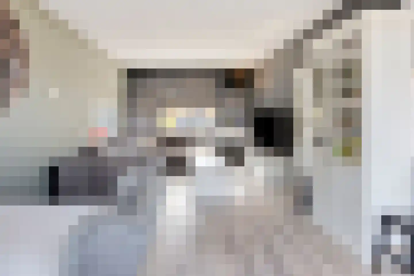 Druivenstraat 2 Naaldwijk thumbnail 4