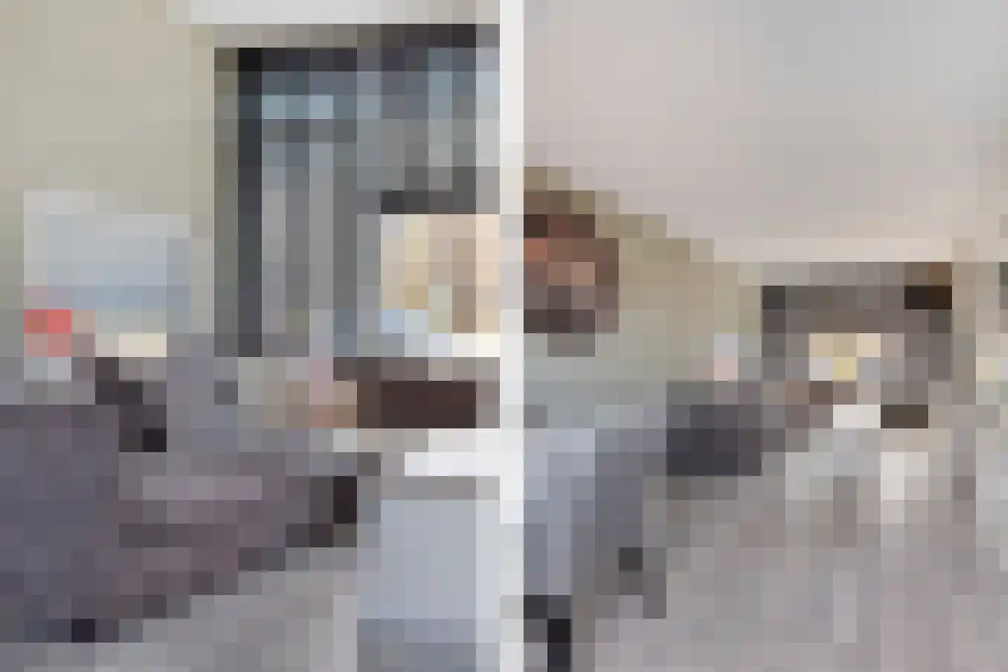 Druivenstraat 2 Naaldwijk thumbnail 9