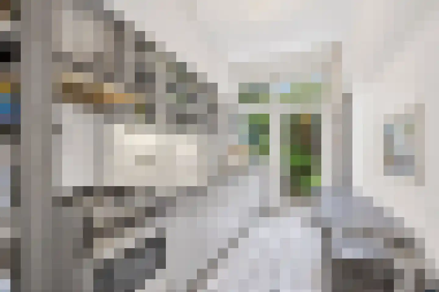 Druivenstraat 29 Den Haag thumbnail 13