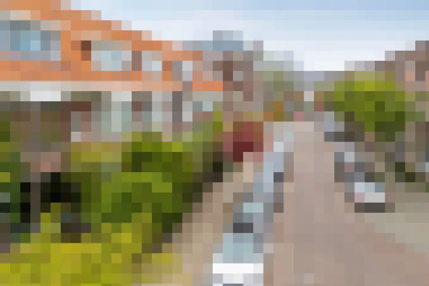 Druivenstraat 29 Den Haag thumbnail 26