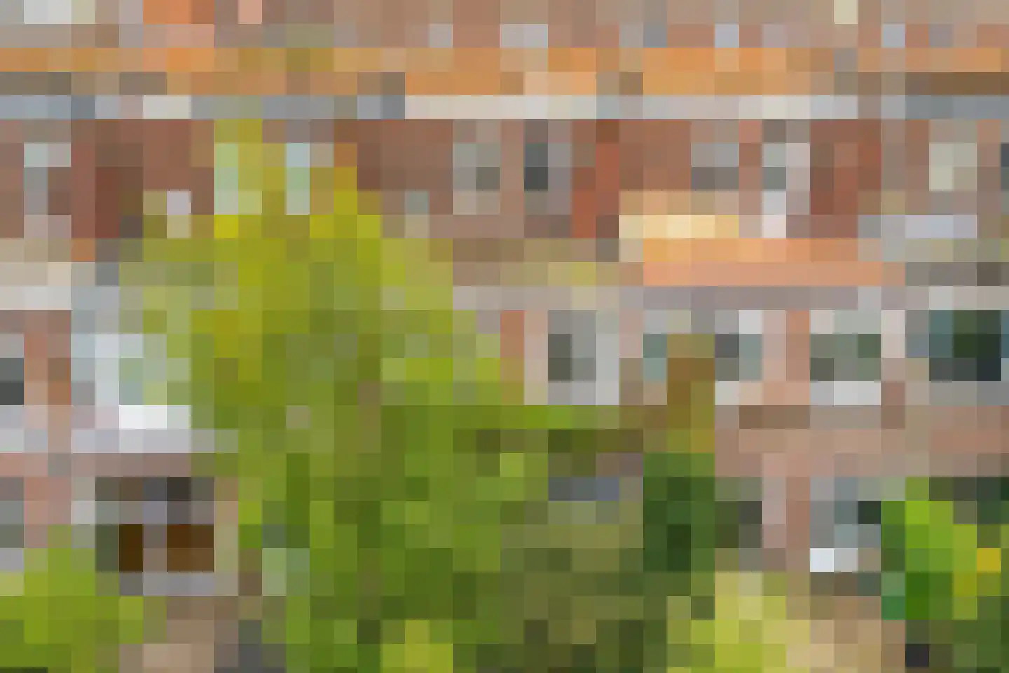 Druivenstraat 29 Den Haag thumbnail 7