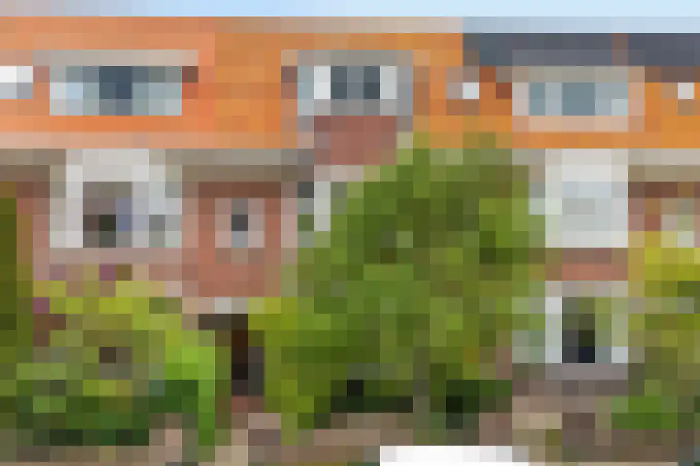 Druivenstraat 29 Den Haag thumbnail 8