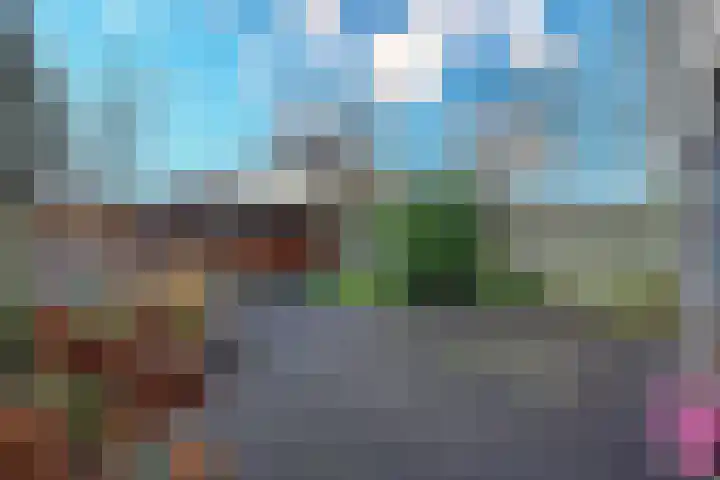 Druivenstraat 35 Almere thumbnail 5