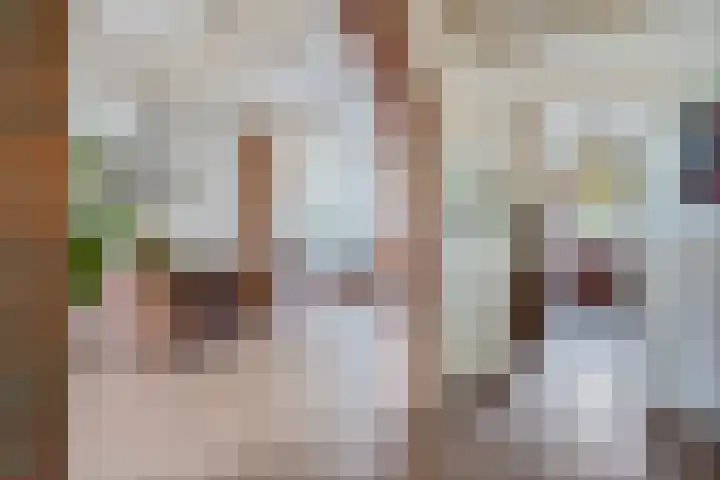 Druivenstraat 37 Naaldwijk thumbnail 13