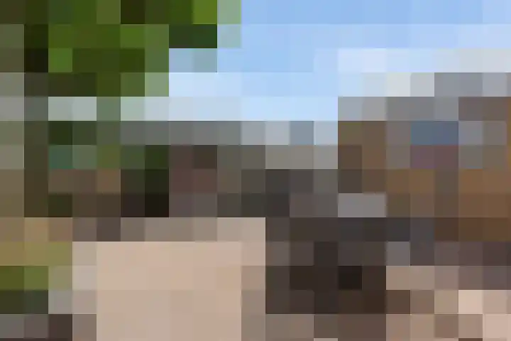 Druivenstraat 37 Naaldwijk thumbnail 26