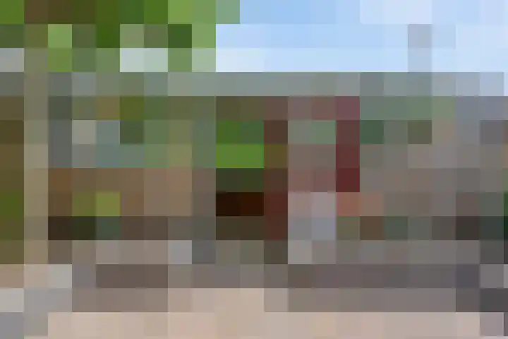 Druivenstraat 37 Naaldwijk thumbnail 28