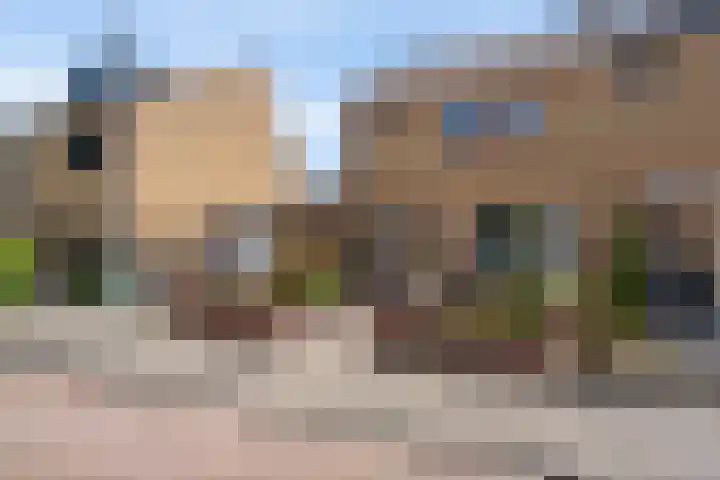 Druivenstraat 37 Naaldwijk thumbnail 5