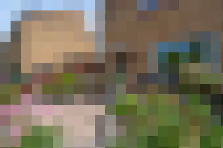 Druivenstraat 37 Naaldwijk thumbnail 8