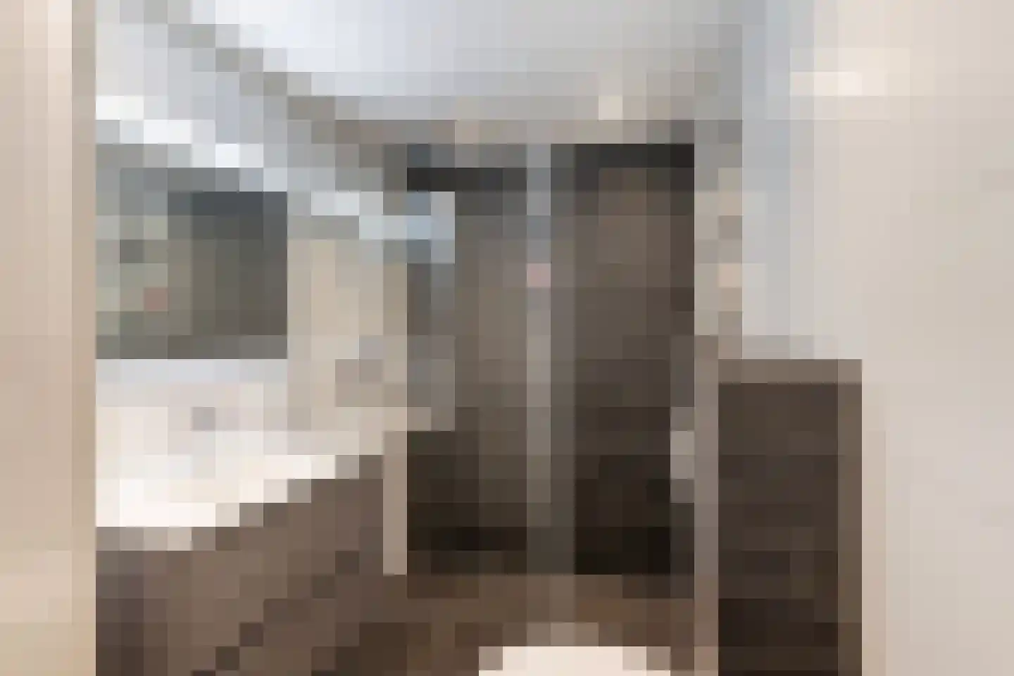 Druivenstraat 68 Naaldwijk thumbnail 24