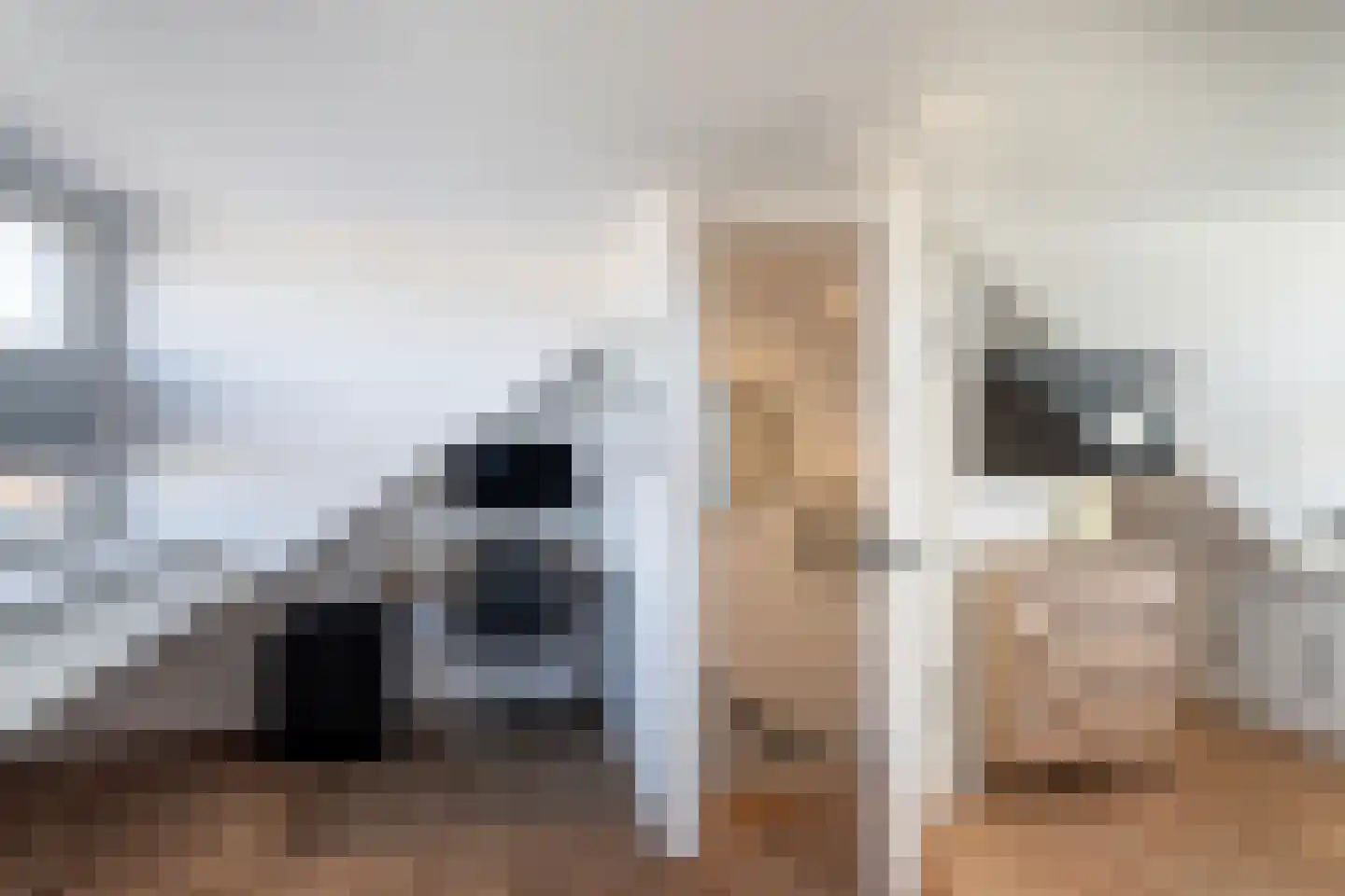 Druivenstraat 68 Naaldwijk thumbnail 30