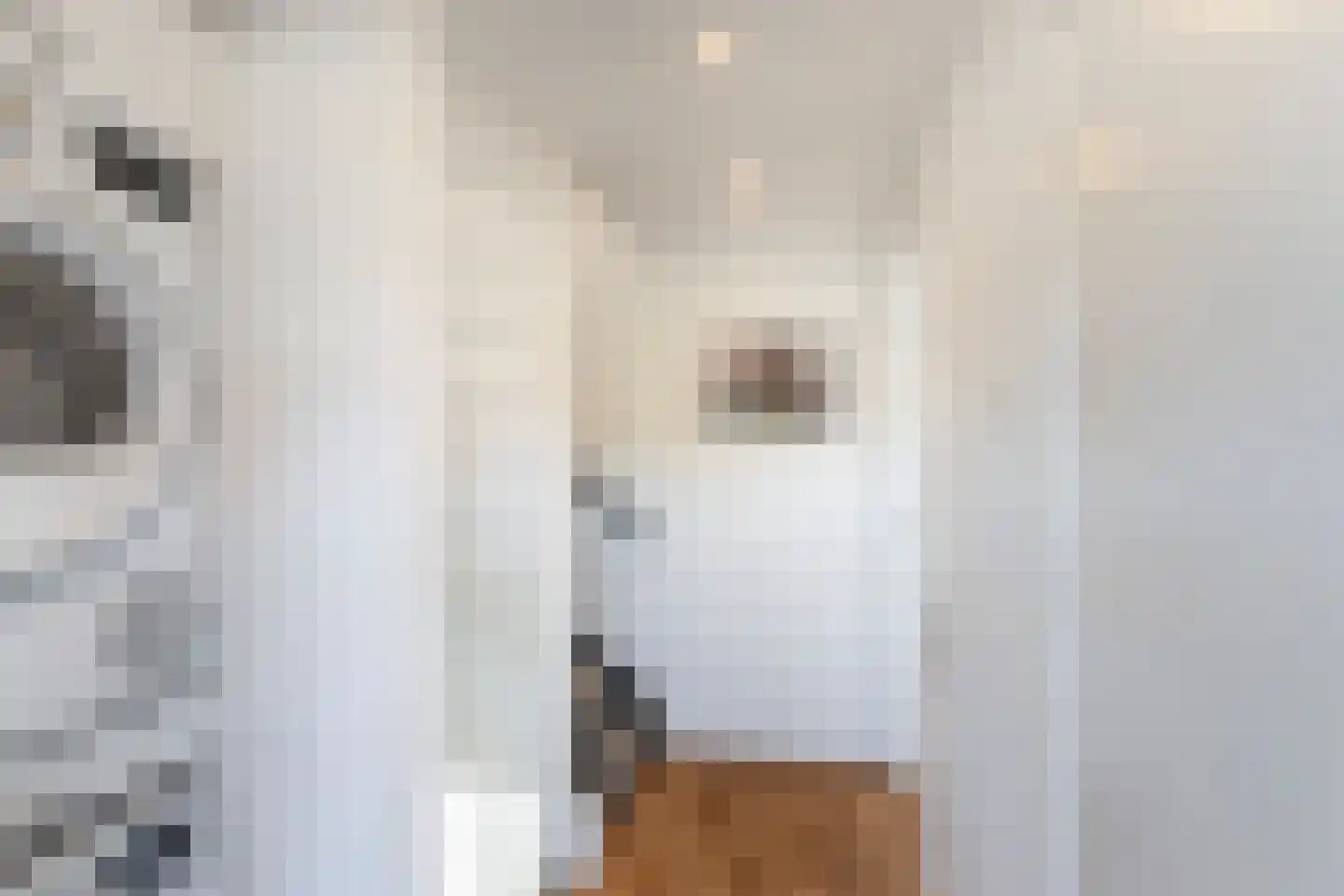 Druivenstraat 68 Naaldwijk thumbnail 31